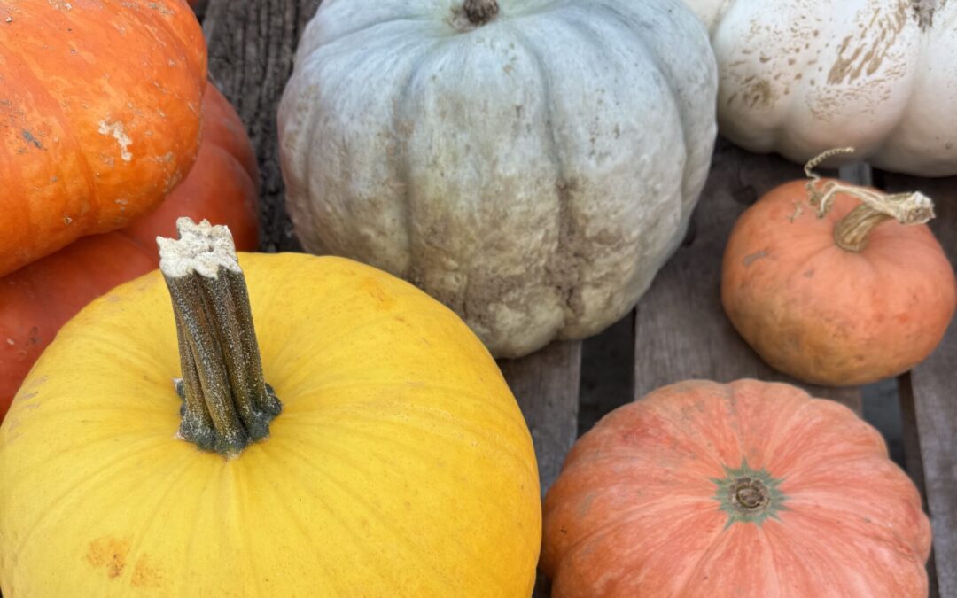 Part 2: Why Decluttering Feels Amazing… But Doesn’t Always Last