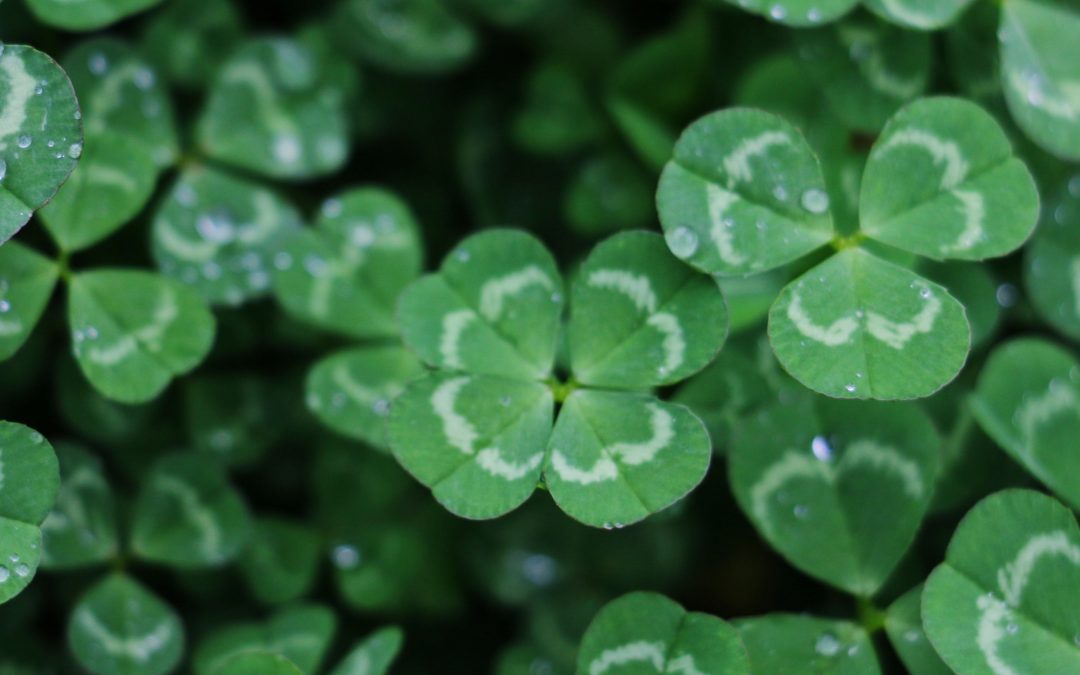 Want better luck? Focus on these areas: