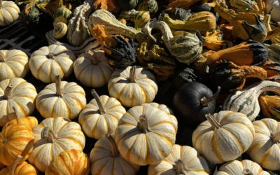 Part 5:  Clutter Was Never the Problem – It’s All About Energy