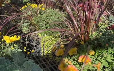 Part 3:  The Hidden Reason Clutter Comes Back