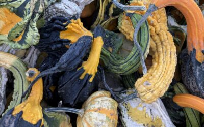 Part 1: Why your clutter is more than ‘too much stuff’